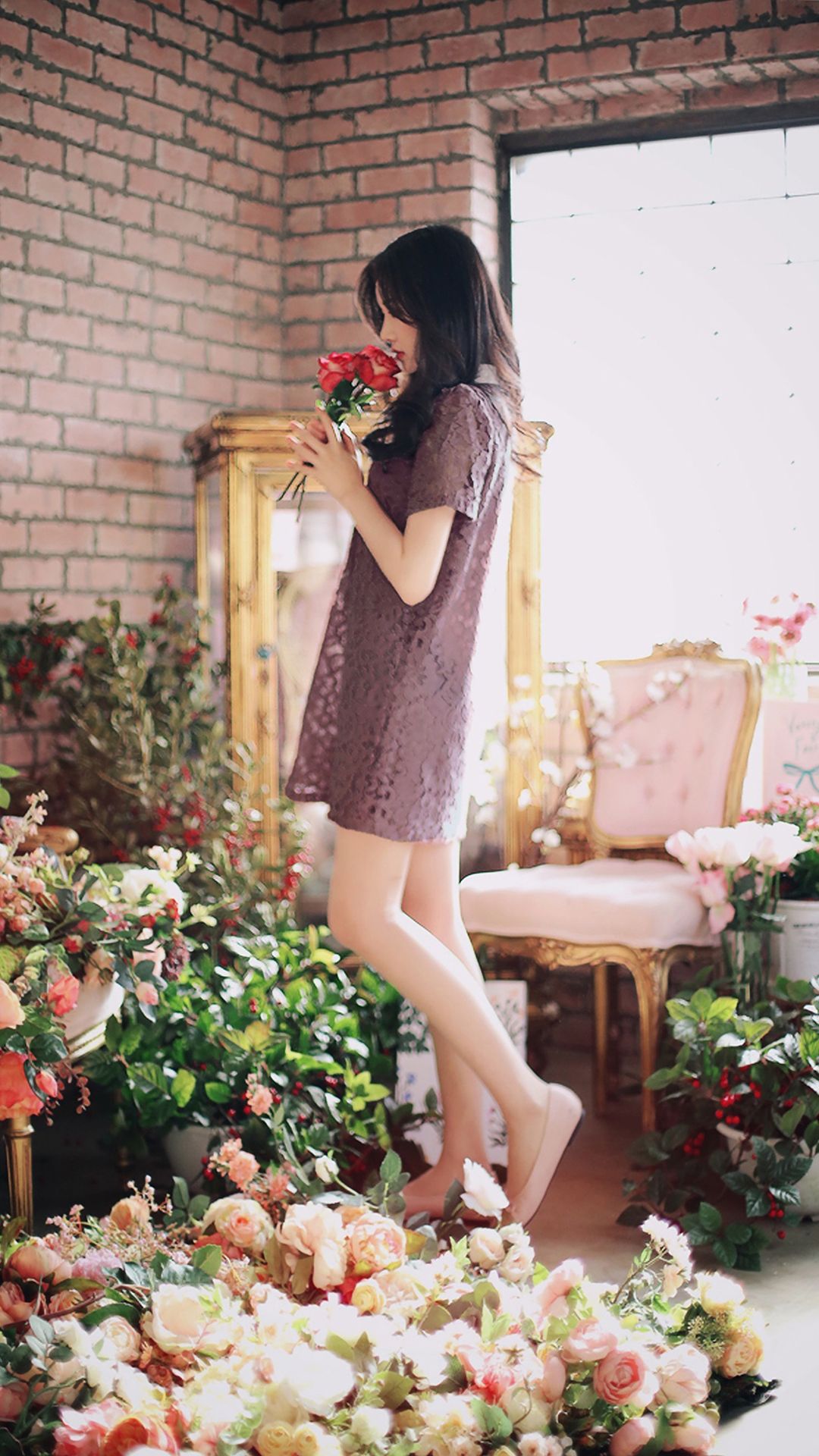 hd高清壁纸大全,hd高清壁纸