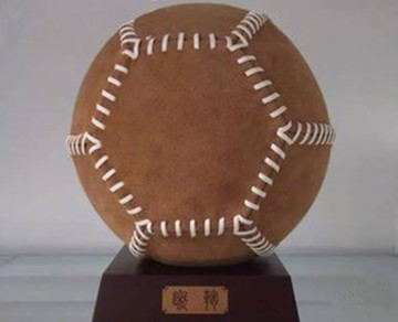 世界杯中国足球不应只是看客,中国足球我们玩不起