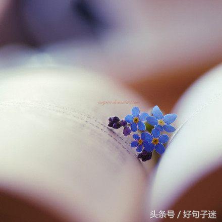 qq经典空间说说大全带图片,qq空间说说带图片短句