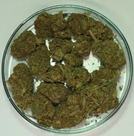 国家禁毒最新发文,最完整的禁毒品法规是什么