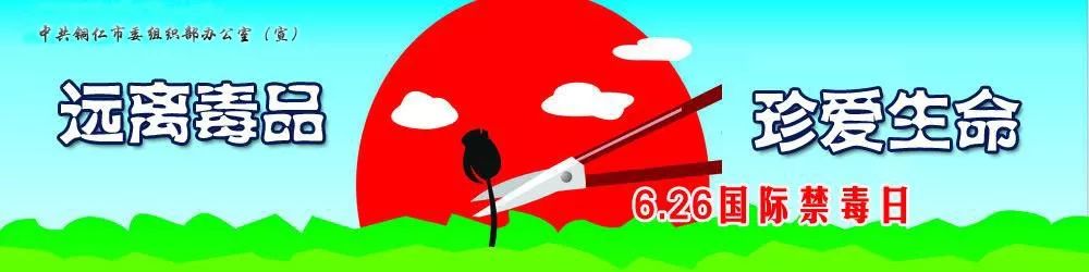 2017年中国禁毒形势报告,中国禁毒形势报告2024