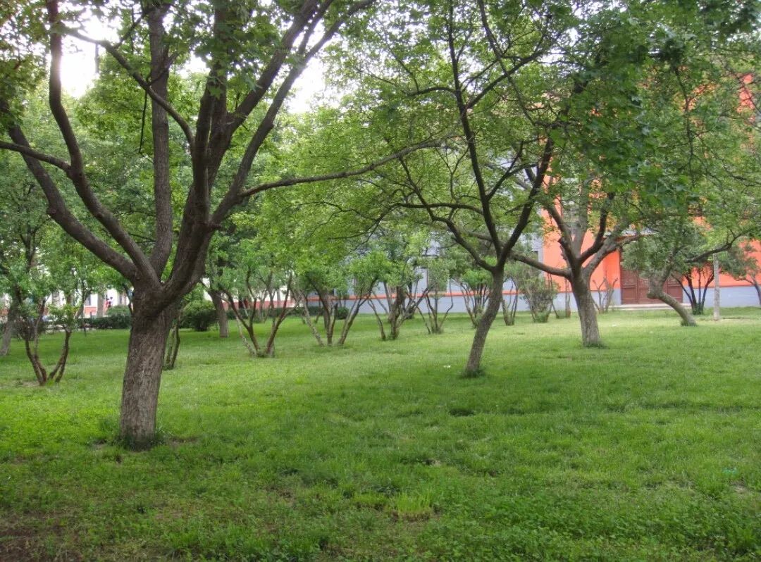 职业技术学院专业排名,张店职业技术学院专业