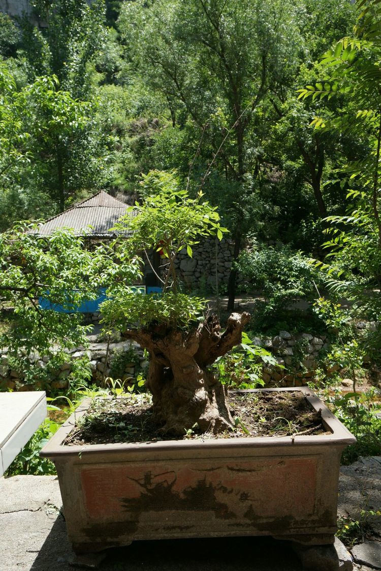 天晴湾风景区,淄川天晴湾