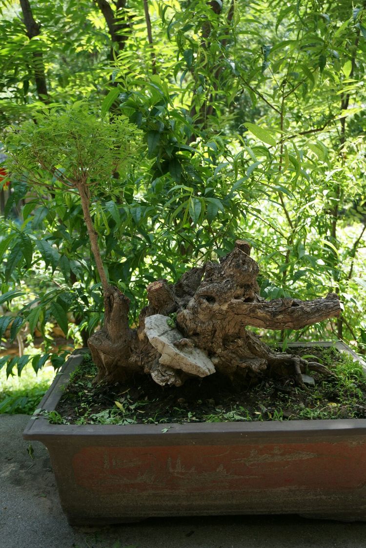 天晴湾风景区,淄川天晴湾