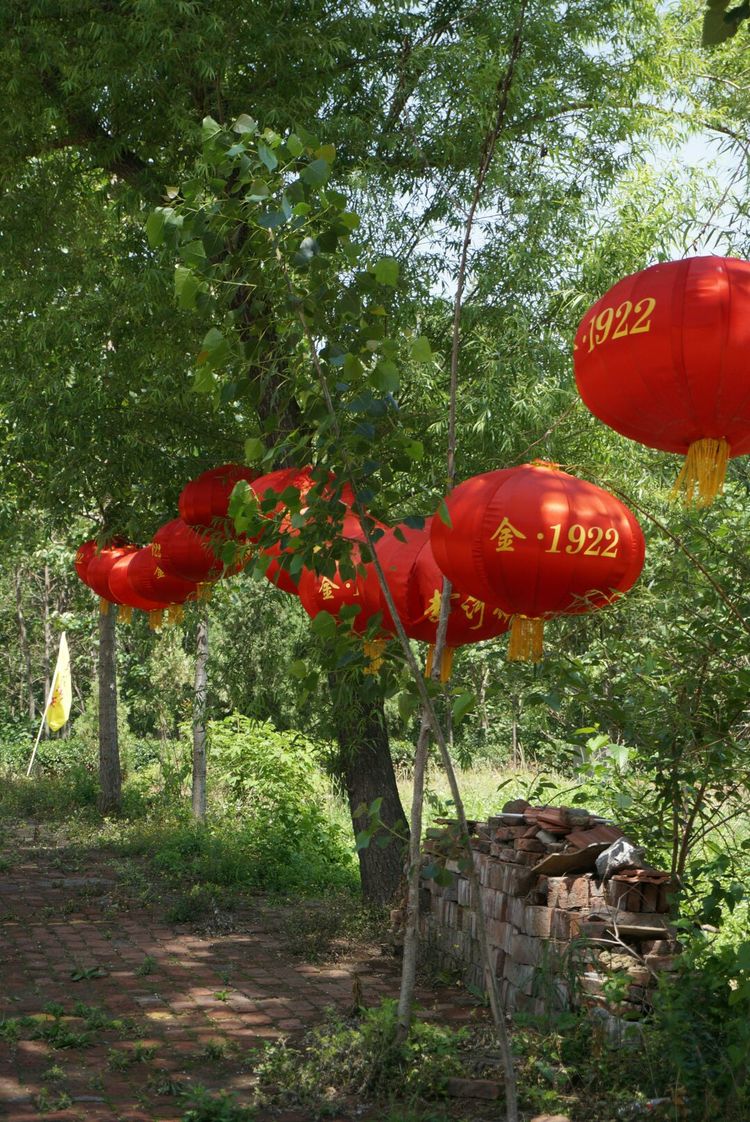 天晴湾风景区,淄川天晴湾