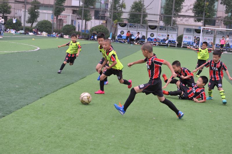 参加足球比赛家长的感悟,参加足球赛家长有什么好意见