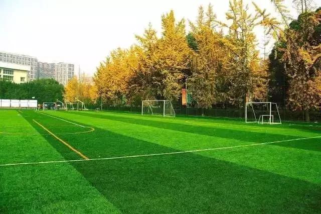 窝家里看世界杯,窝在家看世界杯视频