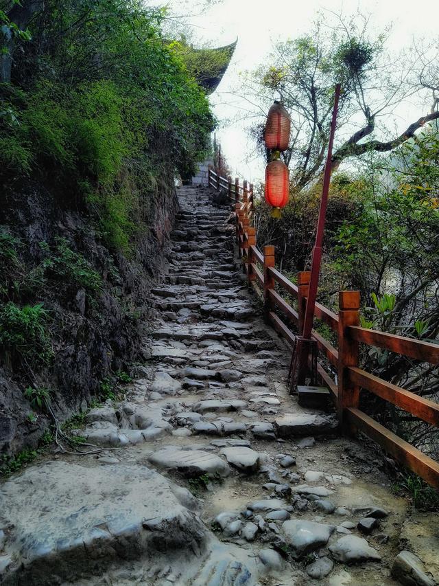 强迫症需要花费多少钱,强迫症治疗一年需要多少钱