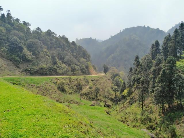 强迫症需要花费多少钱,强迫症治疗一年需要多少钱