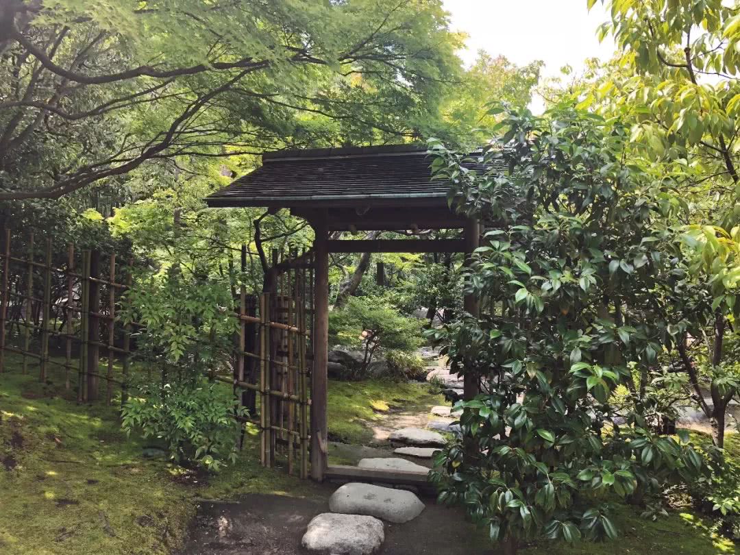 名古屋攻略大全,名古屋有什么玩的