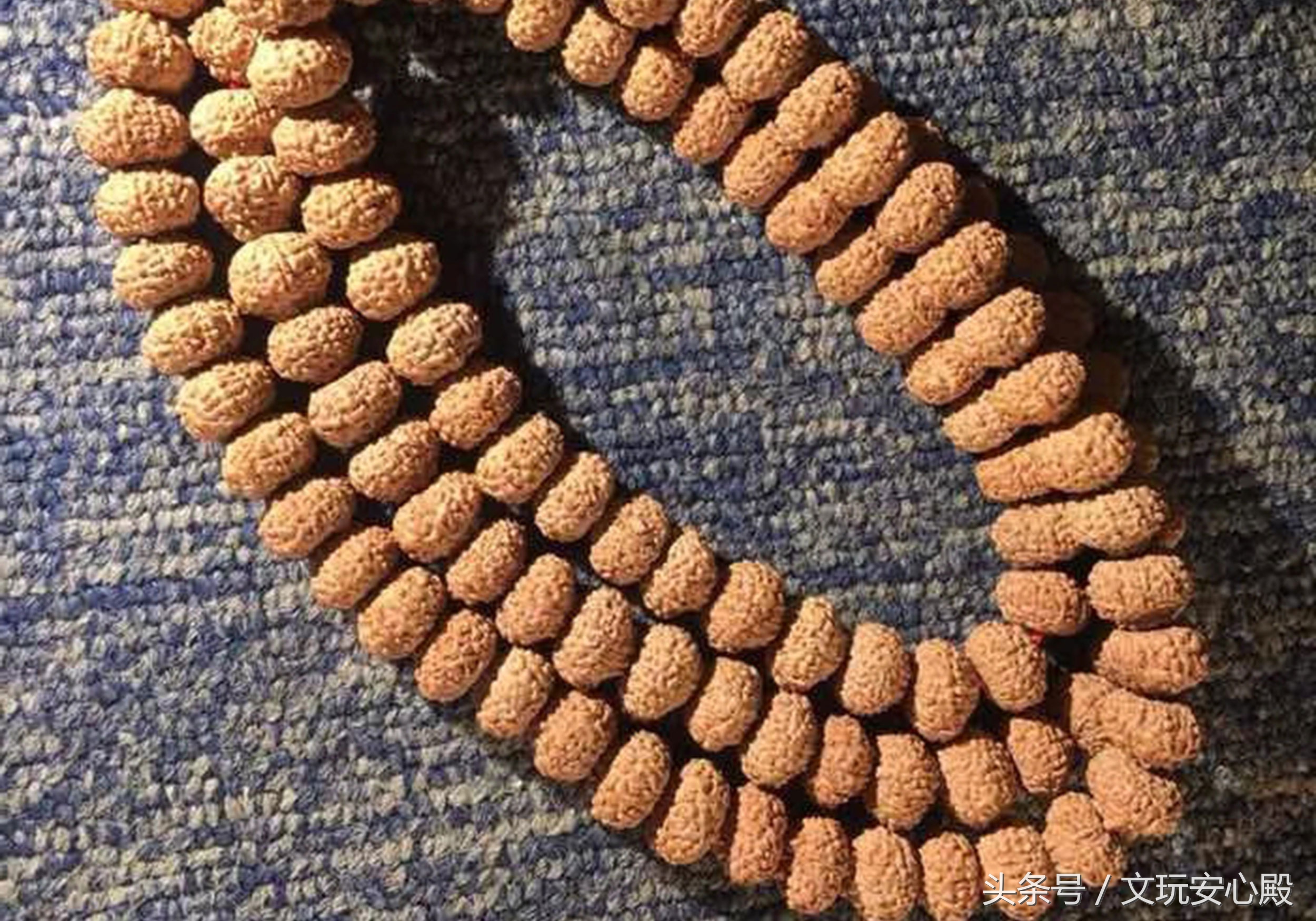 比较热卖的小金刚菩提,菩提小金刚有的黄有的红