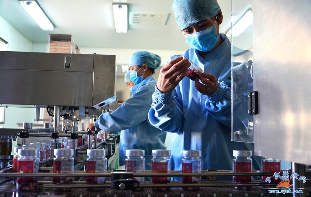 肃南马鹿鹿茸农产品,肃南土特产鹿茸