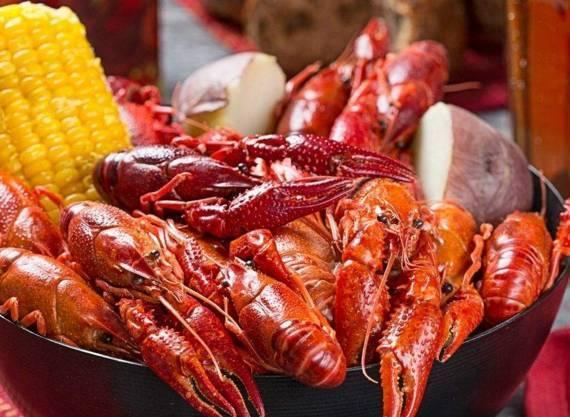 农村小本养殖创业项目大全,项目致富