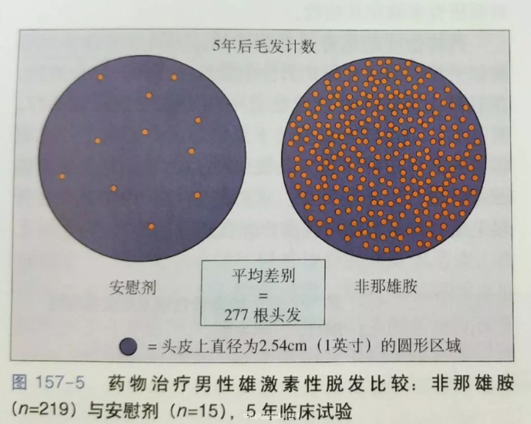 浣嗘効浜洪暱涔呭勾骞翠笉闀胯倝,浣嗘効浜洪暱涔呮案杩滀笉浼氳儢