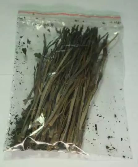 珍爱生命远离烟草毒品心得体会,珍爱生命远离毒品的知识图片