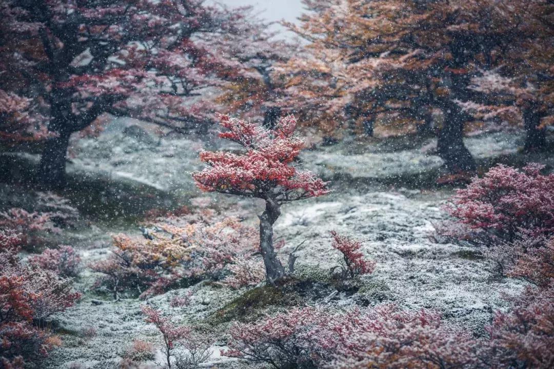 上半年大片,上半年大片推荐