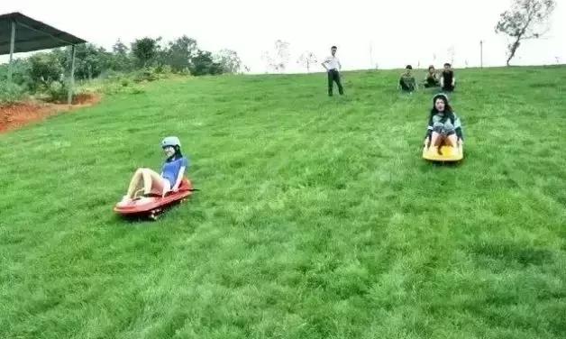 天府本色｜连雨不知春去，一晴方觉夏深