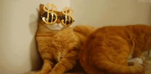 9.9清仓短裤包邮,清仓特价短裤5-10元