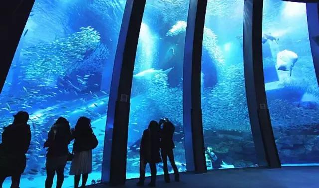 去日本横滨旅游攻略,日本旅游可以逛店吗