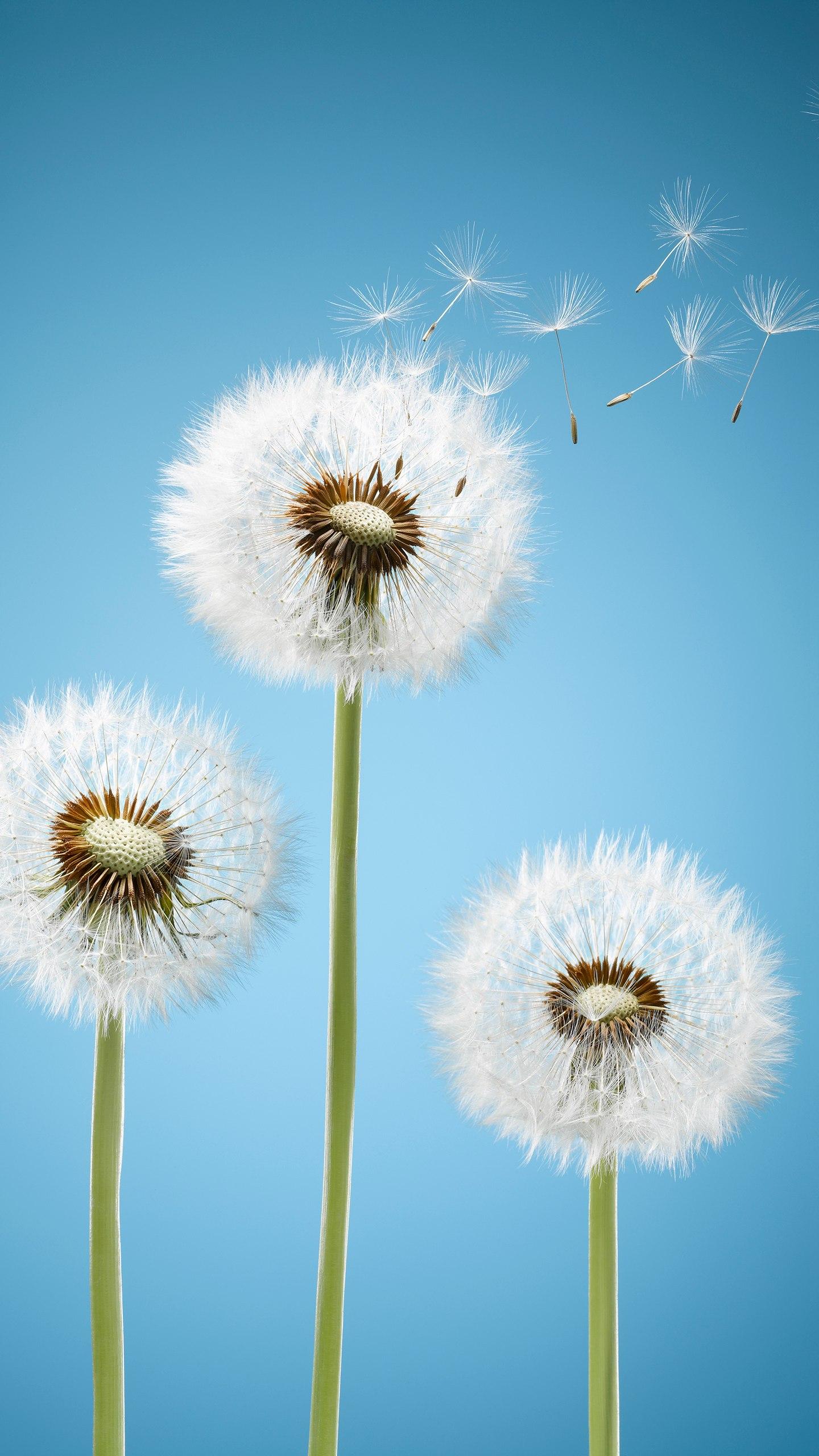 人生难打开的是心门,人生最难打开的就是心锁