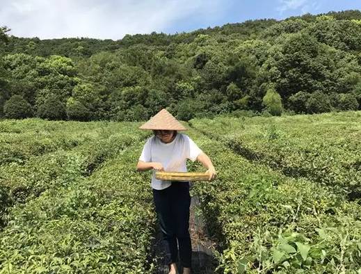 农业十大新模式,农业最赚钱的十种模式