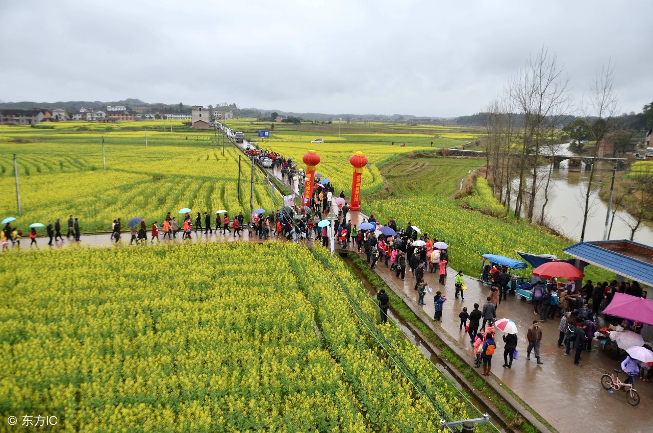 农业十大新模式,农业最赚钱的十种模式