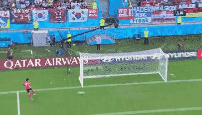 乌贼刘去哪了,世界杯乌贼刘