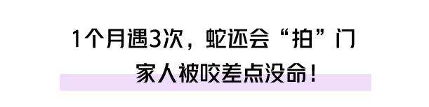 自家别墅花园有蛇什么原因,深圳一别墅区惊现蛇出没
