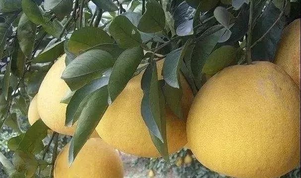 未来辰溪县,下一站溆浦