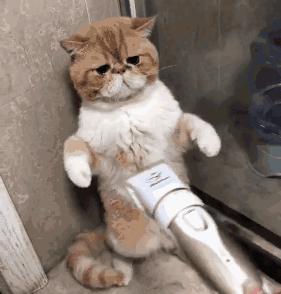 出国帮同事代购香水,因为这件事遭拒收!网友吵翻了……