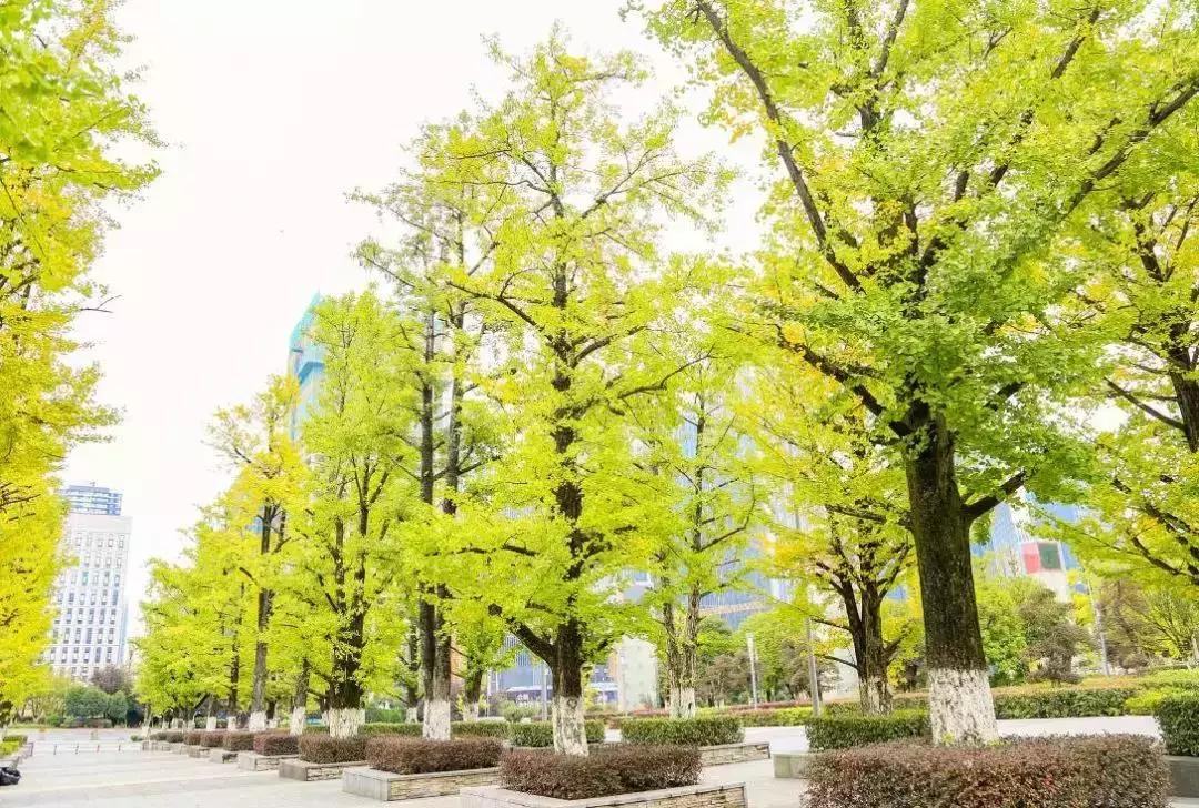 从无人区归来图片,从无人区归来