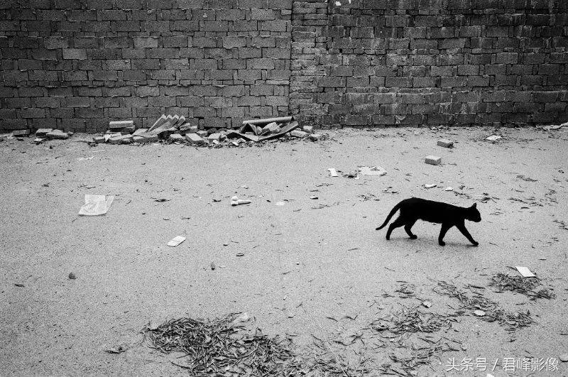 徕卡德味取决于镜头还是机身,徕卡德味