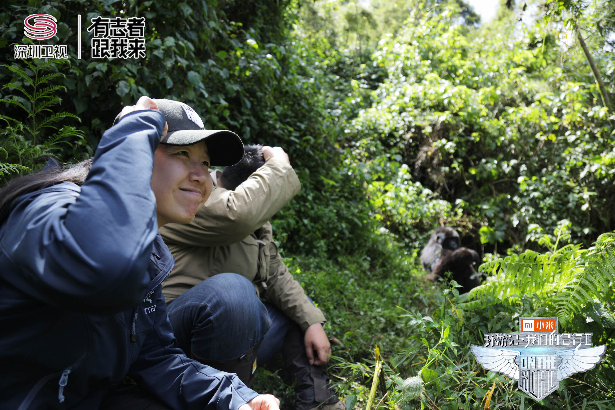 270非洲狂野“追猩”这份“金刚宝典”，你没理由错过！