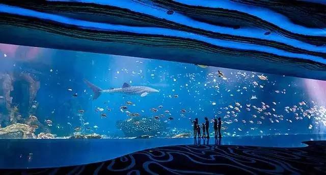 马戏酒店珠海长隆杂技房图片,珠海长隆杂技酒店