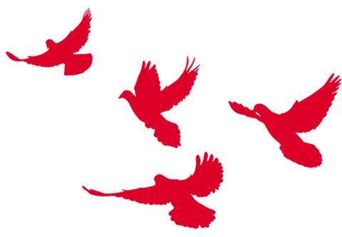 镇村开展七一建党节活动,汝州市七一建党节