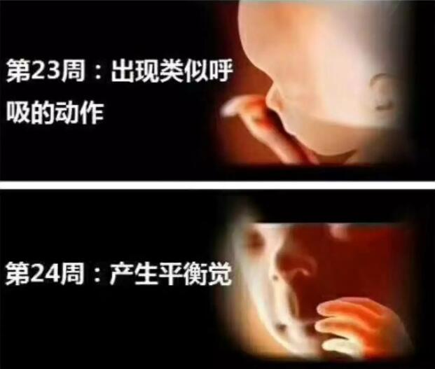孕妈十月怀胎，详解每周小宝宝在妈妈肚子里发生了哪些变化，实用