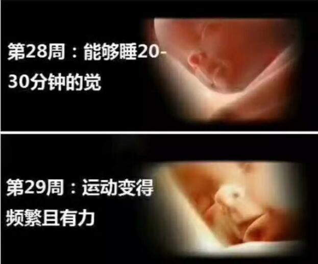 养出漂亮宝宝,养出聪明娃的技巧