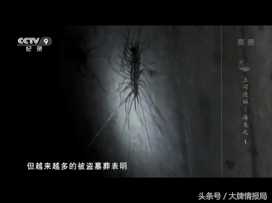 央视好看的纪录片考古,央视的考古寻宝