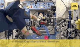 vr世界杯直播,vr直播世界杯视频