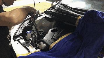 汽车空调有死老鼠去维修要多少钱,汽车空调滤芯进老鼠有什么好办法