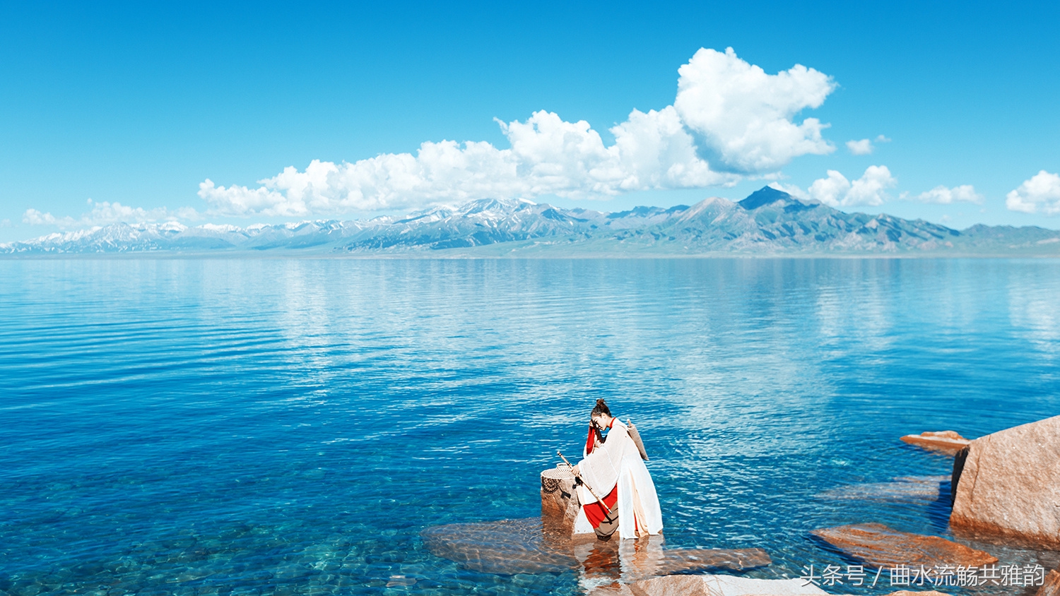 仰天长笑我辈岂是蓬蒿人的意思,仰天长笑我辈岂是蓬蒿人配音