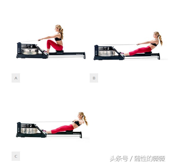 划船机只蹬不拉,划船机怎么练腰部和背部