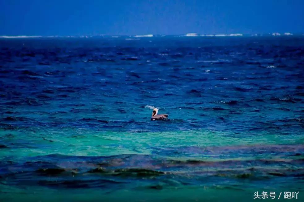 世界杯进球最多的国家是哪国,世界杯进球最多的国家是哪个国家