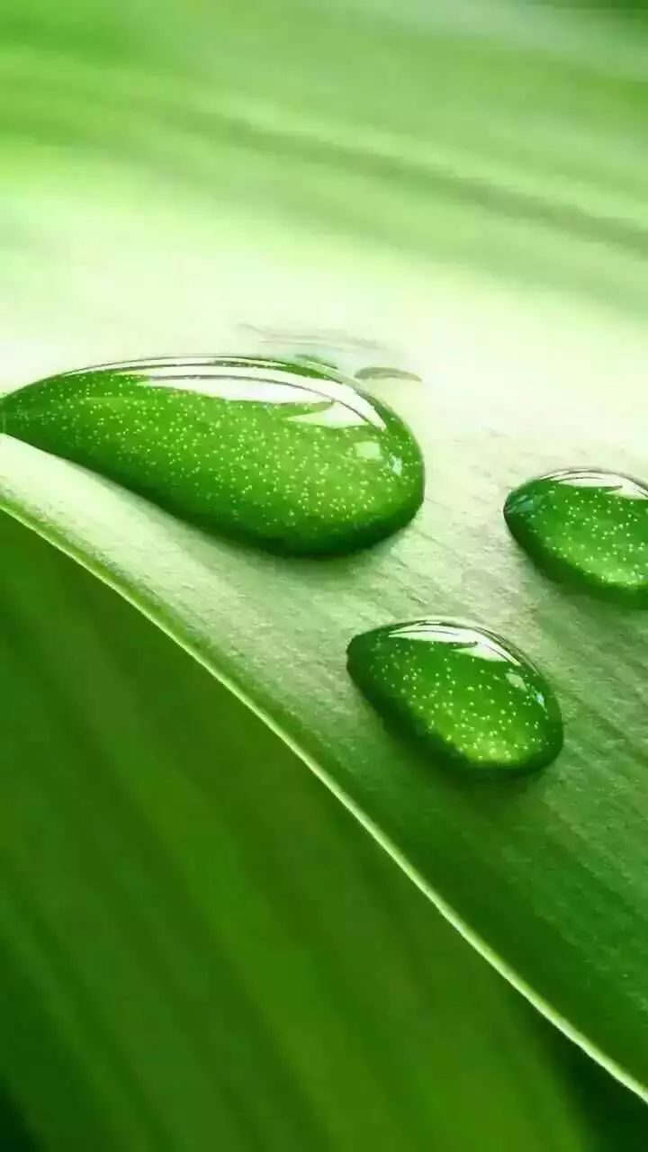 微信聊天护眼背景图高清大图,护眼背景图微信聊天背景