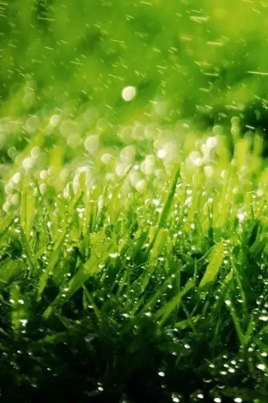 微信聊天护眼背景图高清大图,护眼背景图微信聊天背景