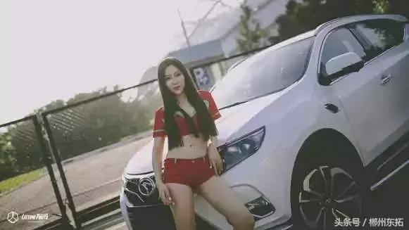 世界杯深度解析比利时,世界杯探球