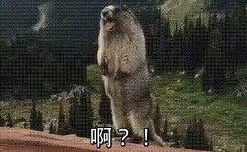 世界杯各种姿势,2014世界杯看球姿势