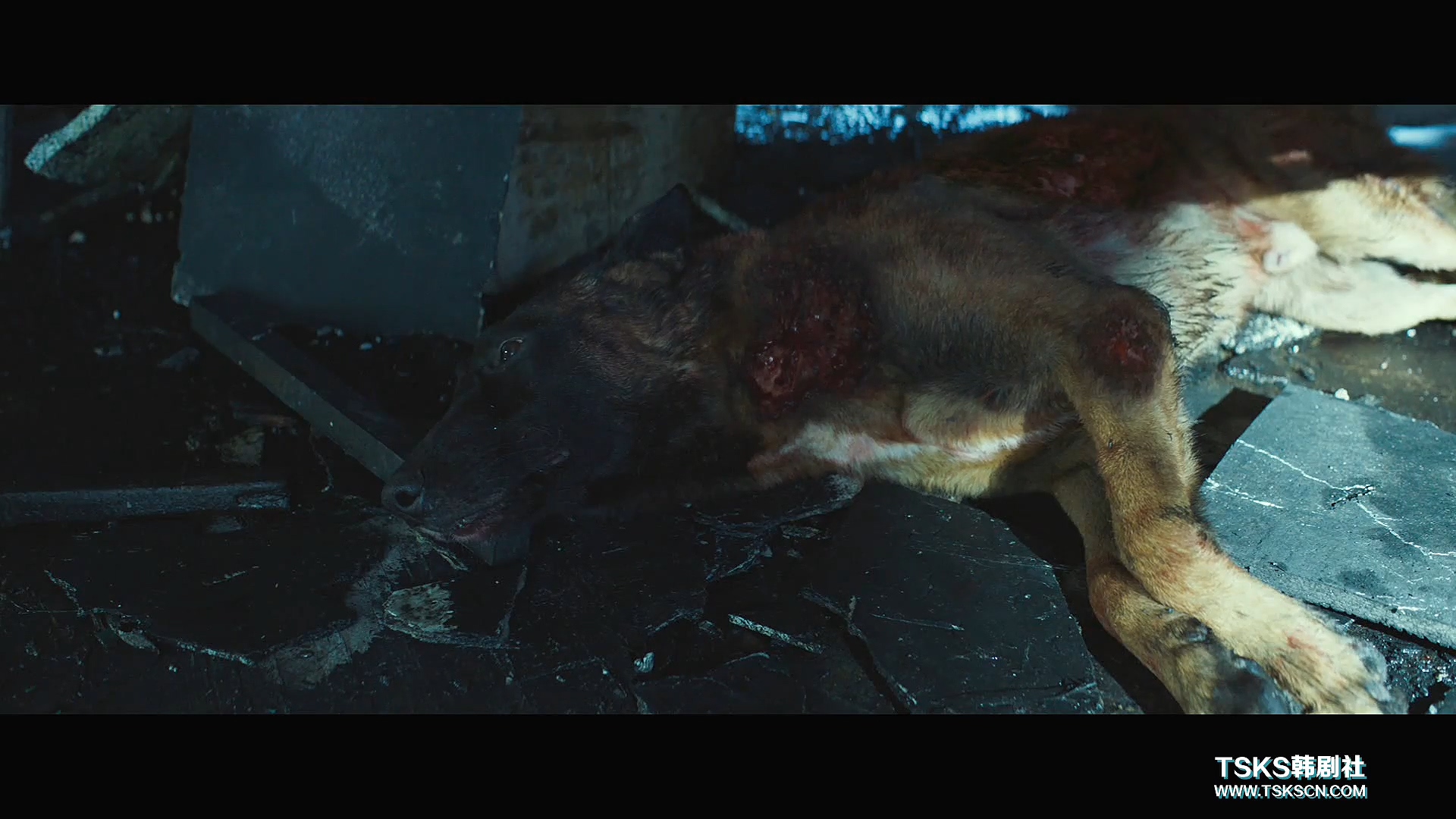 复仇与救赎,韩国复仇电影无尿点