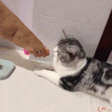 除脚气的简单方法,最简单治脚气的方法