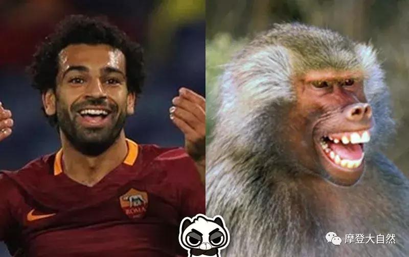 当c罗是什么体验,当c罗扮成流浪汉